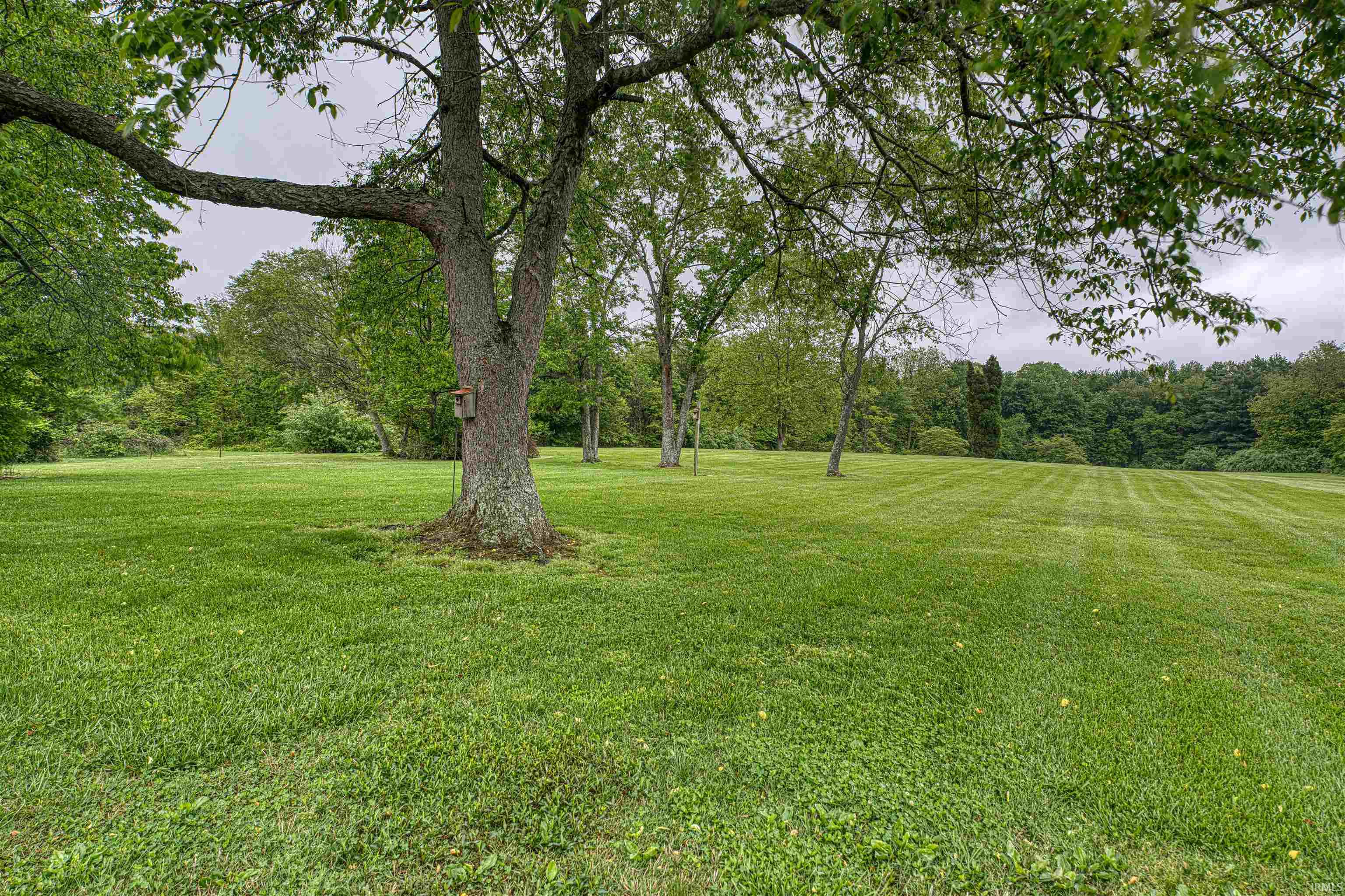 844 Old Plank Road Chandler, IN 47610 - Photo 26 of 36 Gallery Image 26