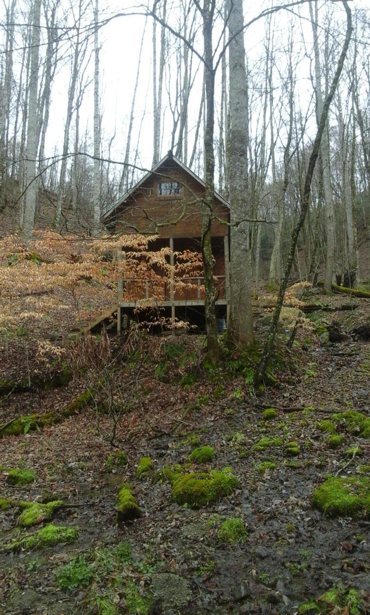 * Old Clarktown Road Hampton, TN 37658 - Photo 12 of 16 Cabin