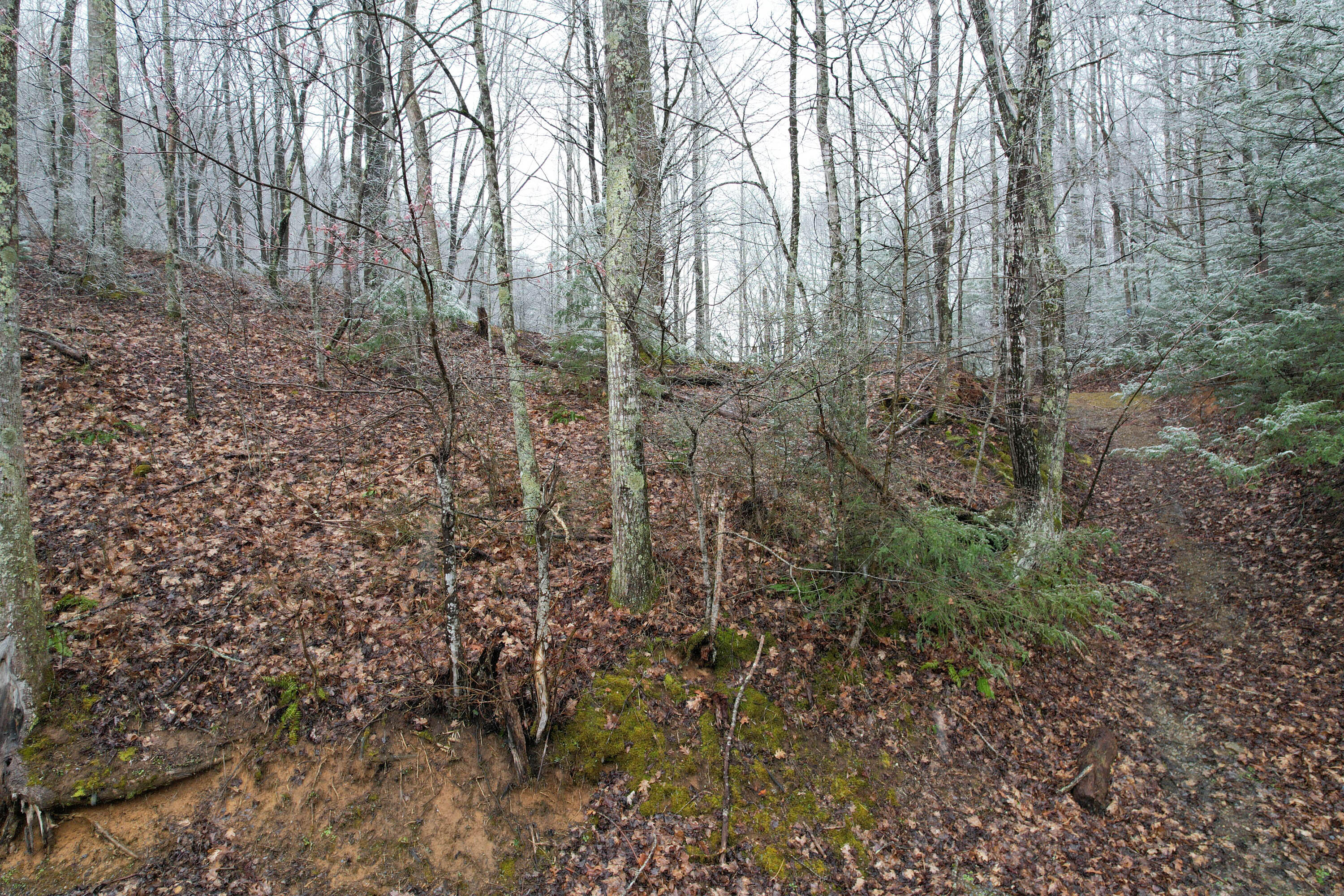 * Old Clarktown Road Hampton, TN 37658 - Photo 14 of 16 OLD Clarktown Rd-2