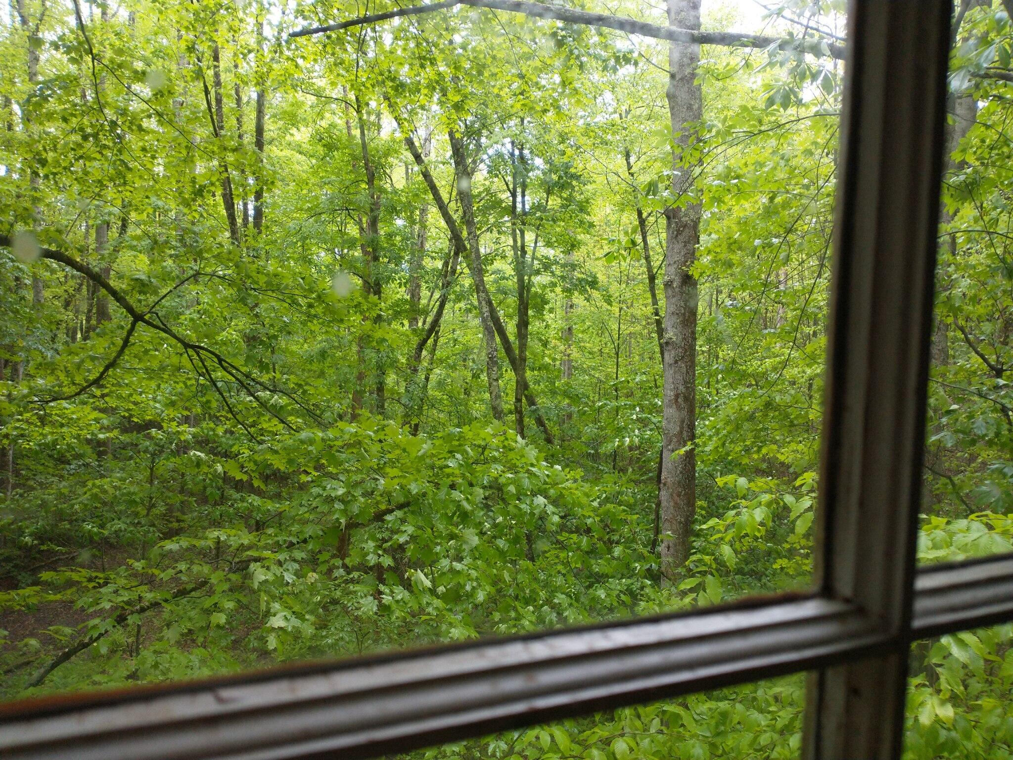 * Old Clarktown Road Hampton, TN 37658 - Photo 9 of 16 image000000 (2)