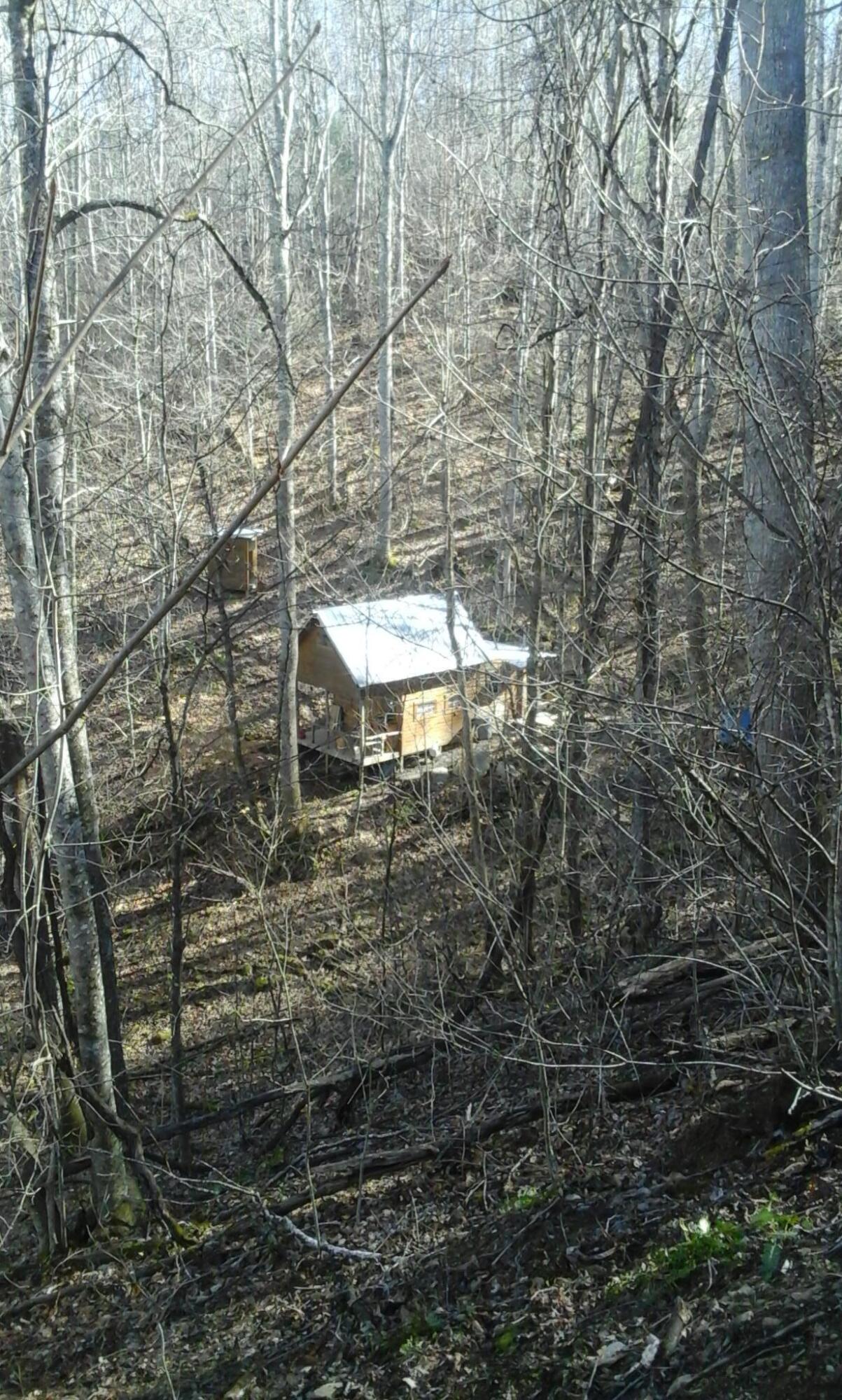 * Old Clarktown Road Hampton, TN 37658 - Photo 10 of 16 Cabin
