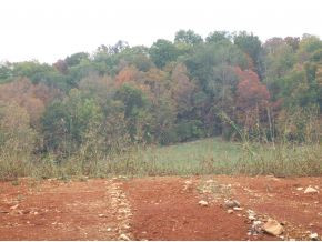 3 Frank Stanton Road Limestone, TN 37681 - Photo 1 of 6 Photo 1