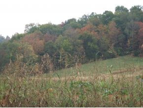 3 Frank Stanton Road Limestone, TN 37681 - Photo 2 of 6 Photo 2