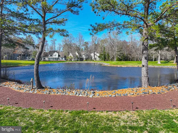 a view of yard with green space