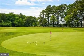 a view of a golf course with a trees