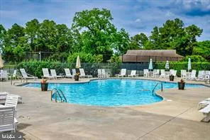 a view of a swimming pool with lawn chairs and plants