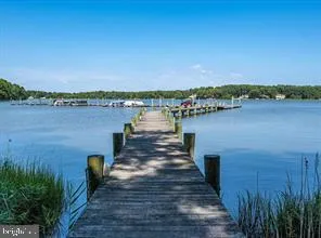 a view of a lake with wooden stairs and bridge and large trees