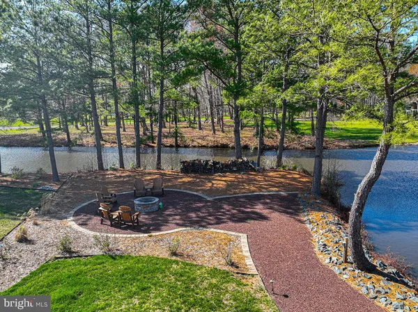 a view of a backyard with tree s