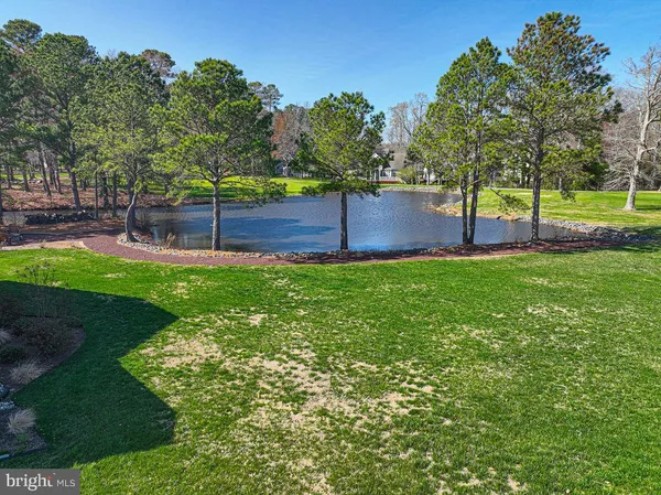 a view of a park with large trees
