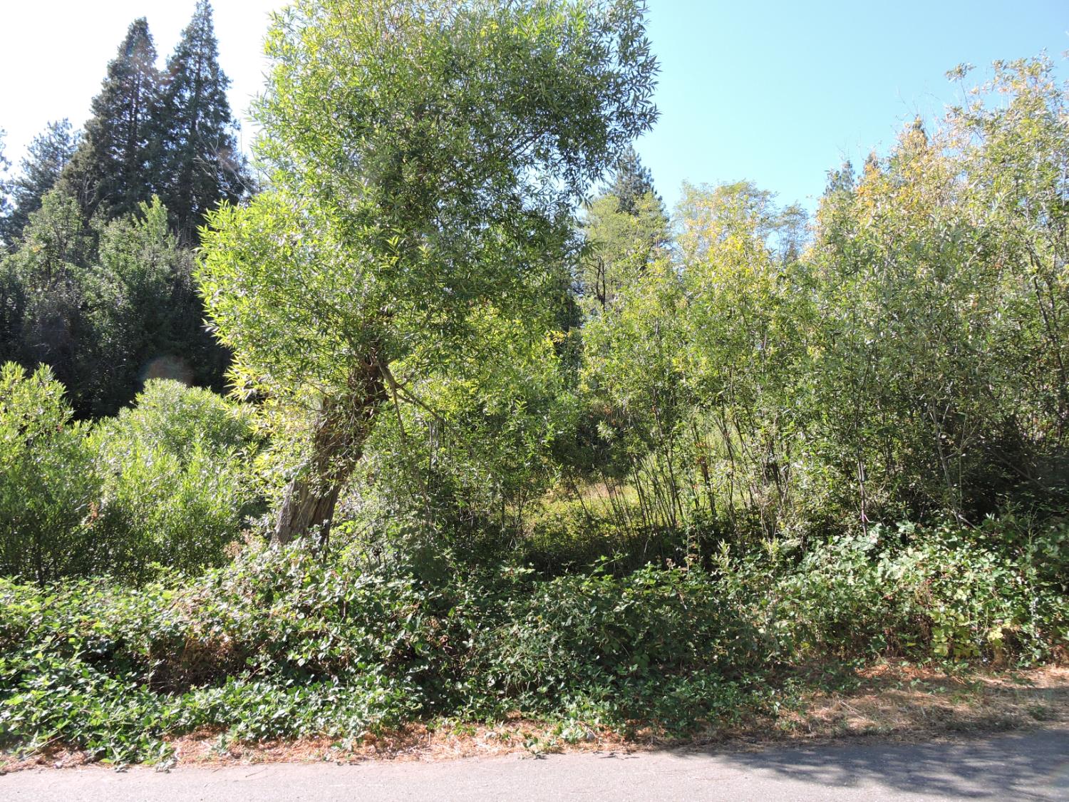 0 Main Street Dutch Flat, CA 95714 - Photo 3 of 11 an aerial view of a house with a yard