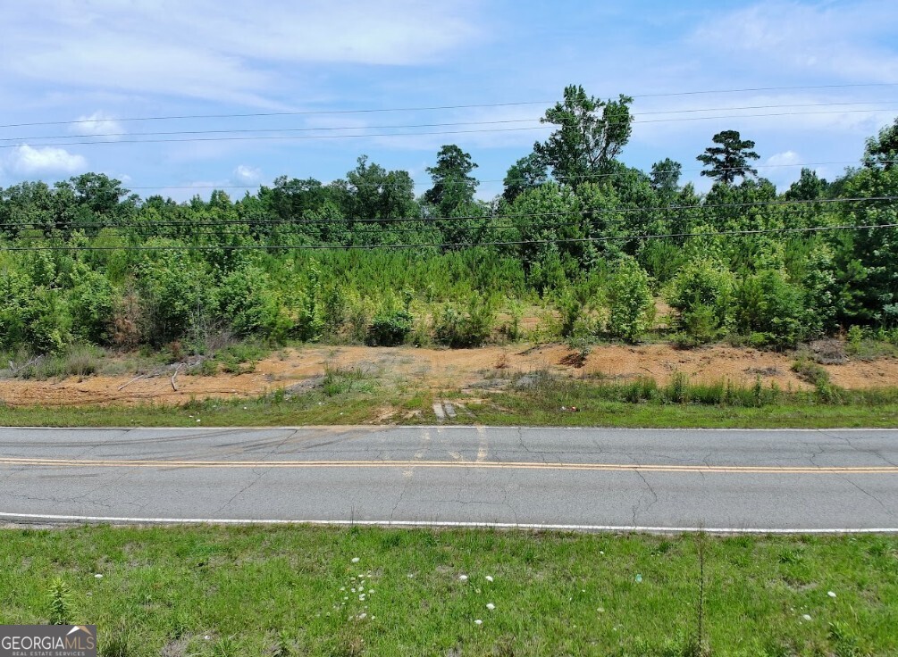 0 Prospect Road Nauvoo, AL 35578 - Photo 7 of 19