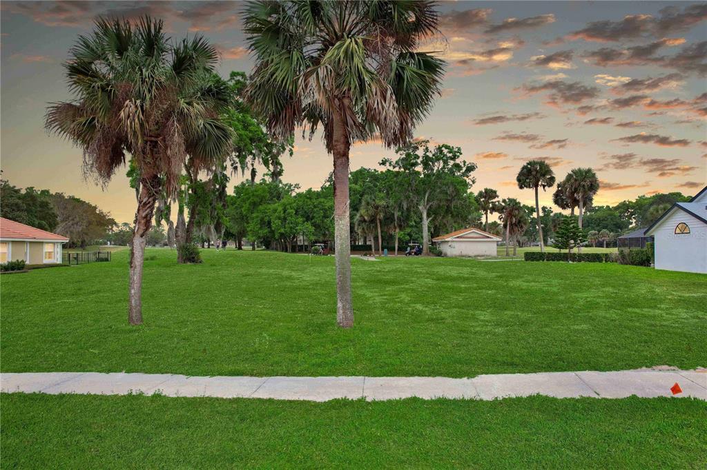 a view of a park with palm trees