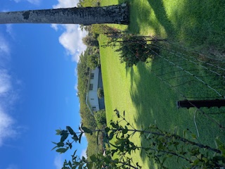 27-641 Ka'ie'ie Road Papaikou, HI 96781 - Photo 2 of 28 a view of a lake with a yard