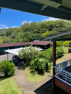 a view of a chairs and table in the patio