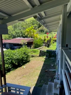 a view of backyard with plants