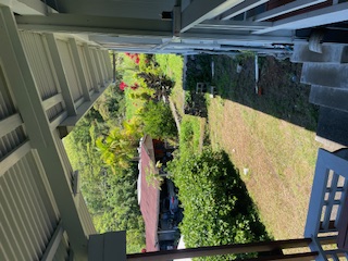 27-641 Ka'ie'ie Road Papaikou, HI 96781 - Photo 28 of 28 a view of backyard with plants
