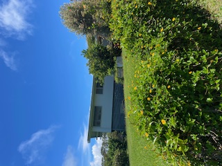 27-641 Ka'ie'ie Road Papaikou, HI 96781 - Photo 3 of 28 a view of a backyard