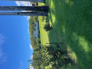 27-641 Ka'ie'ie Road Papaikou, HI 96781 - Photo 4 of 28 a view of a lake with a yard