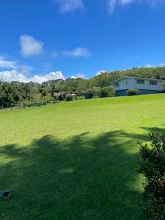 a view of an ocean from a city