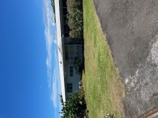 27-641 Ka'ie'ie Road Papaikou, HI 96781 - Photo 6 of 28 a view of swimming pool with an outdoor space