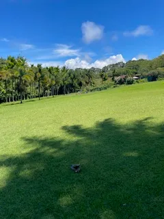 a view of a city with a lake