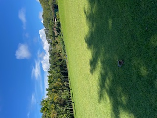 27-641 Ka'ie'ie Road Papaikou, HI 96781 - Photo 10 of 28 a view of a city with a lake