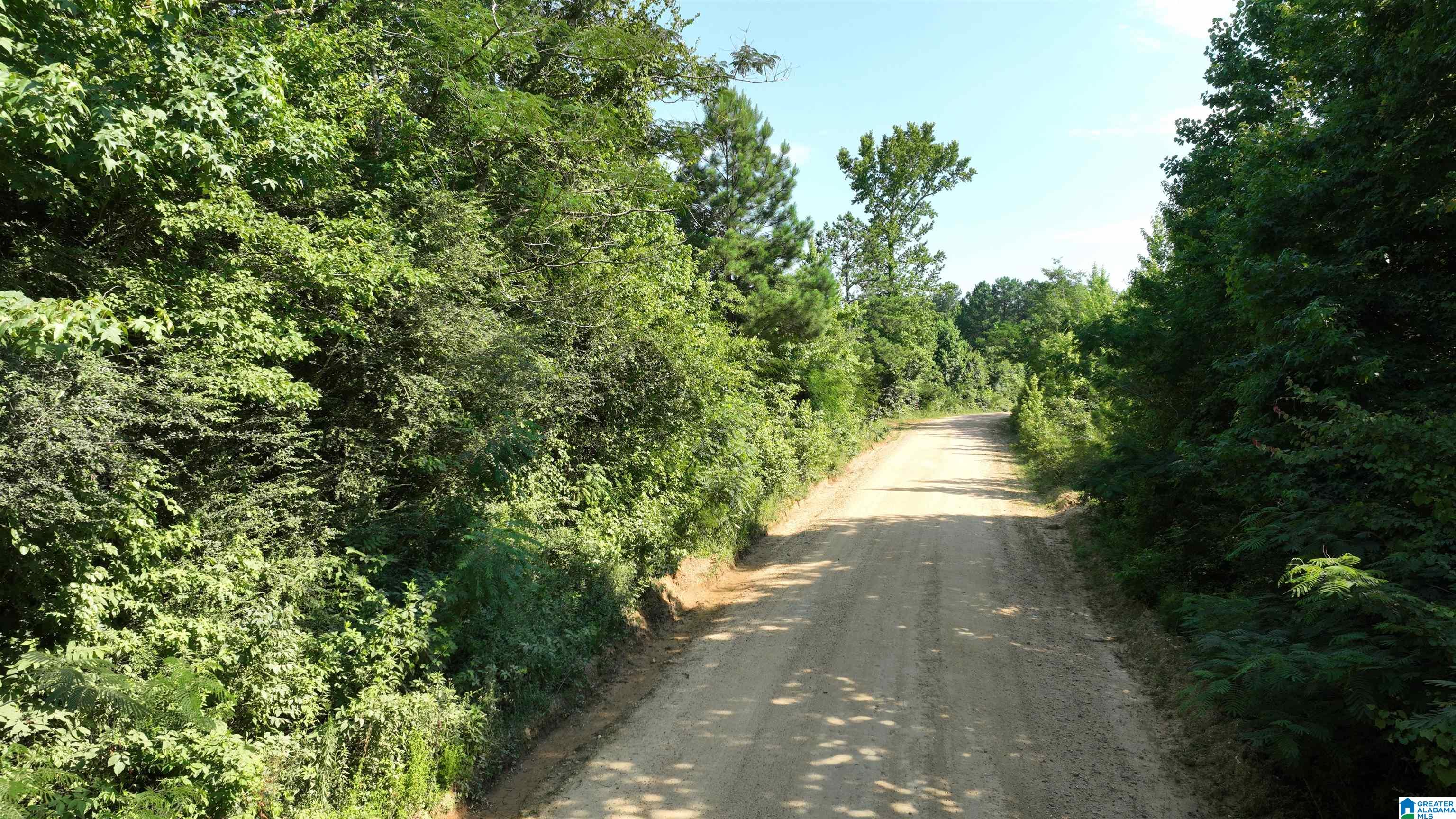2 County Road 253, Unit 2 Clanton, AL 35046 - Photo 16 of 40