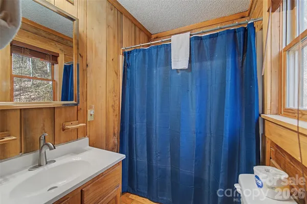 $225,000 | 306 Forget Me Not Lane, Whittier, NC 28789