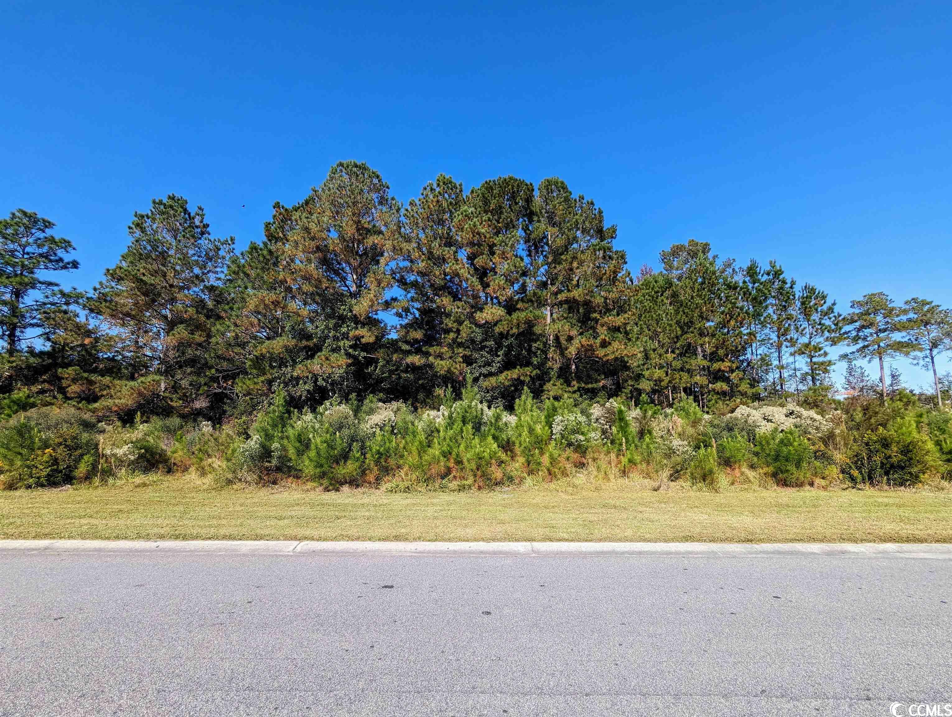 3028 Newcastle Loop Myrtle Beach, SC 29588 - Photo 2 of 8