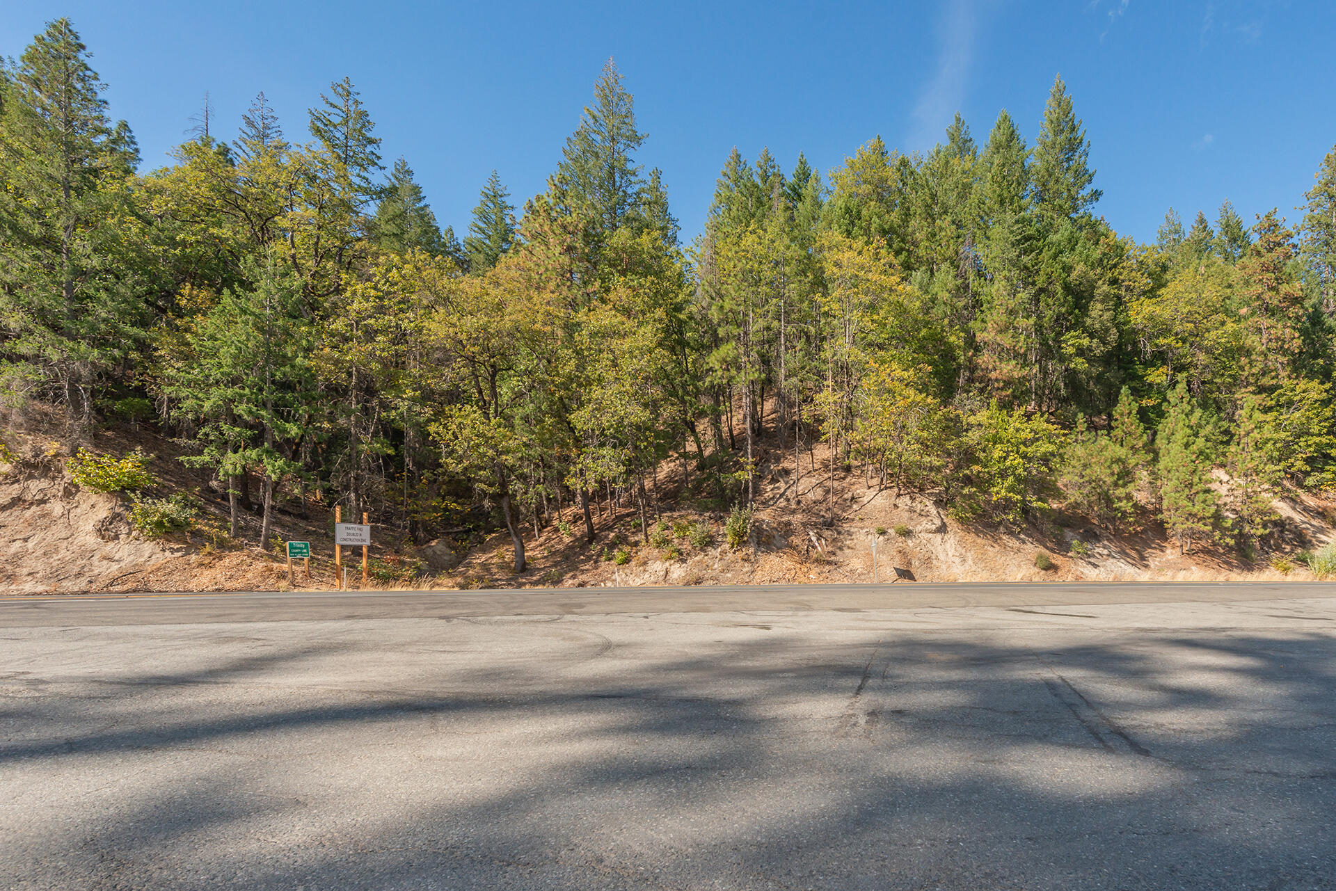 31 Ac Buckhorn Summit Lewiston, CA 96052 - Photo 23 of 26 a view of a yard with a tree
