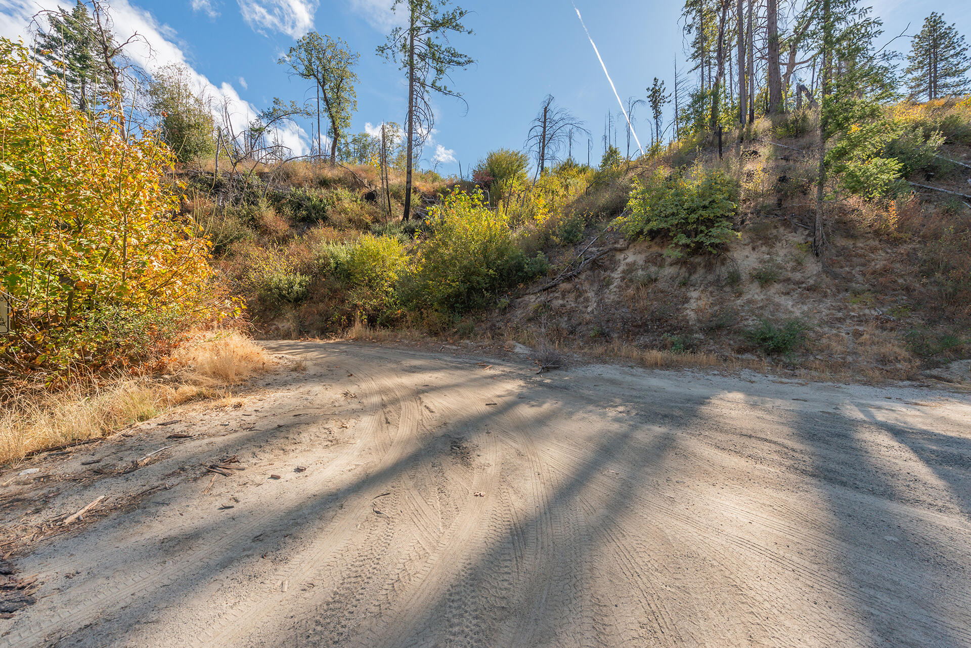 31 Ac Buckhorn Summit Lewiston, CA 96052 - Photo 24 of 26 a view of a yard with plants and trees