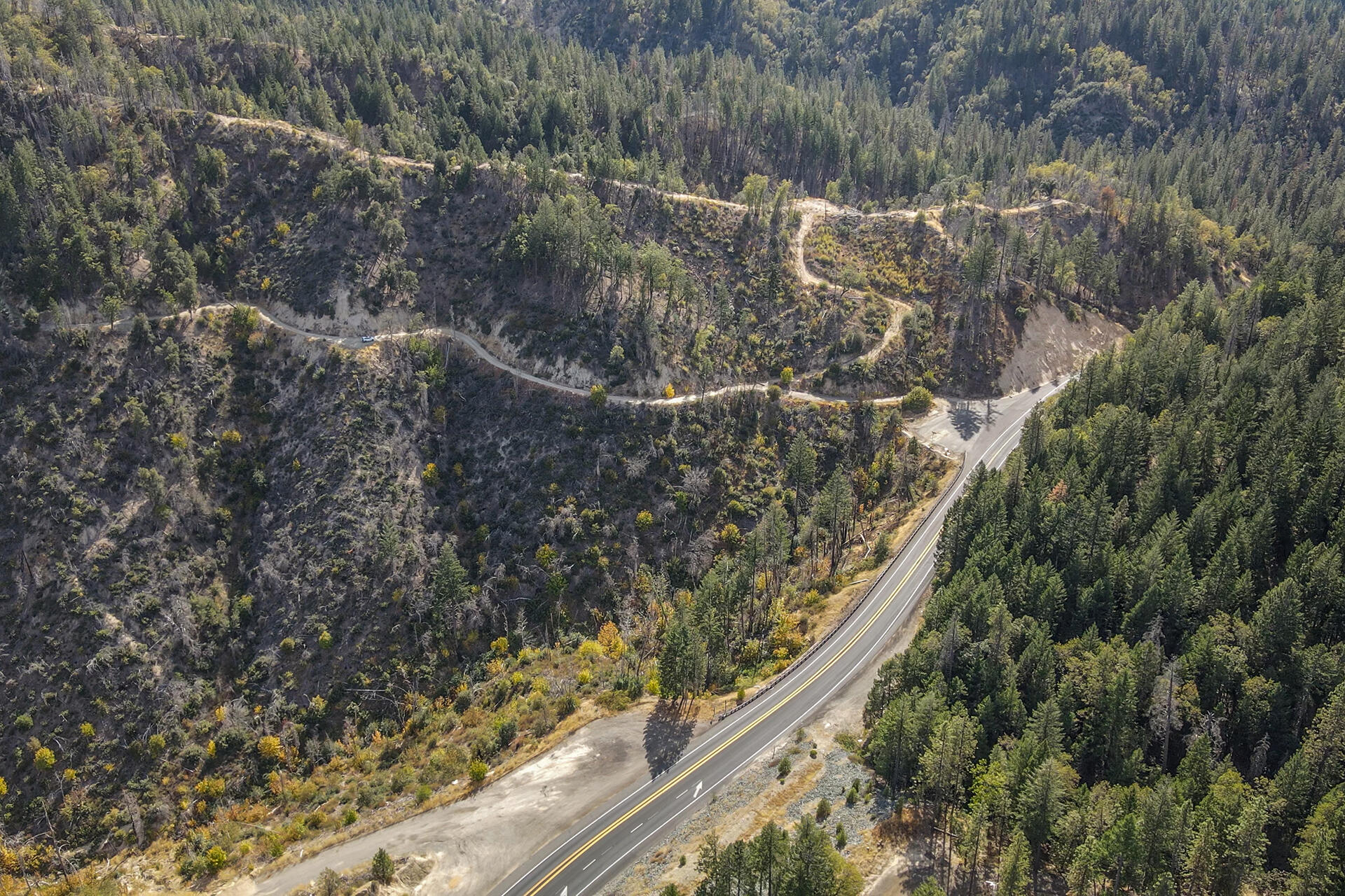 31 Ac Buckhorn Summit Lewiston, CA 96052 - Photo 6 of 26 a view of a yard with wooden fence
