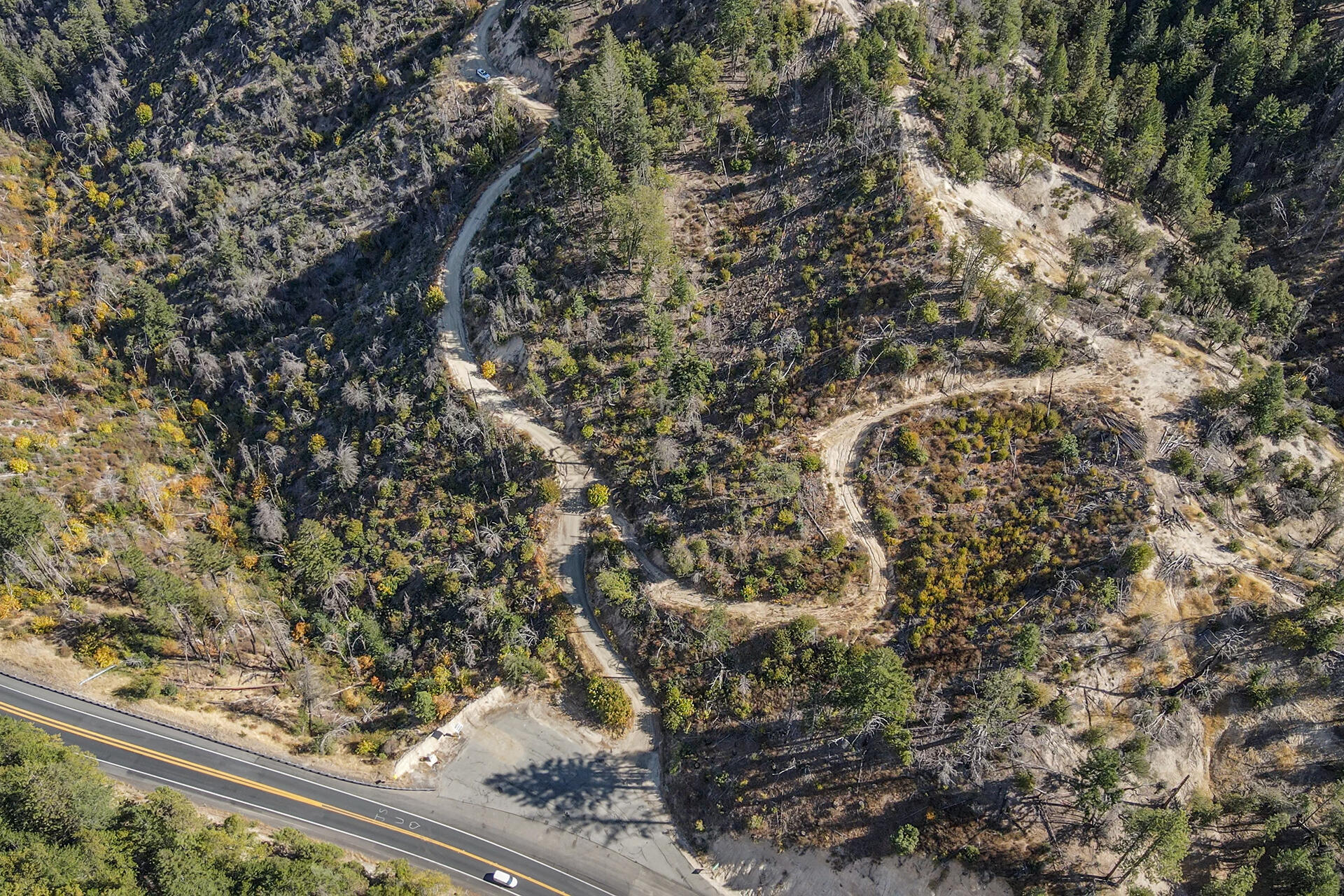 31 Ac Buckhorn Summit Lewiston, CA 96052 - Photo 8 of 26 a view of a yard with a tree