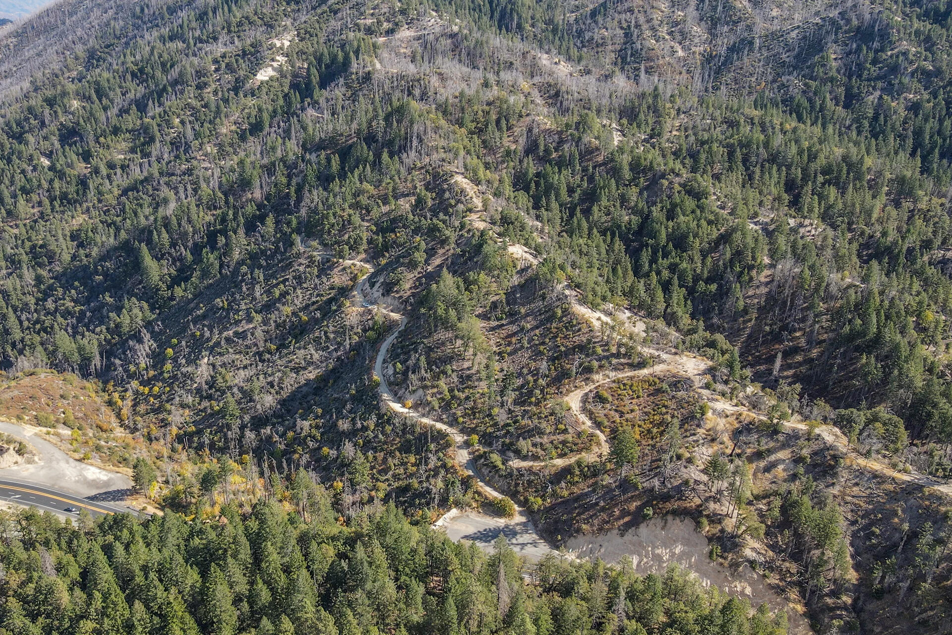 31 Ac Buckhorn Summit Lewiston, CA 96052 - Photo 9 of 26 a view of a forest with lots of trees