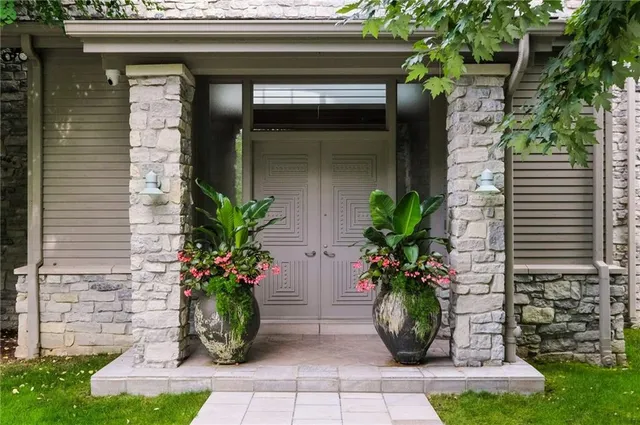 a potted plant sitting in front of a house