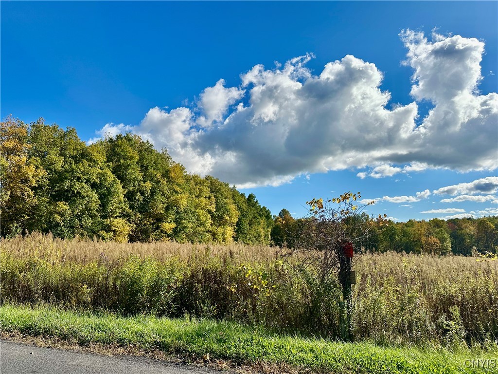 Harris Hill Road Hannibal, NY 13074 - Photo 1 of 1 Gallery Image 1