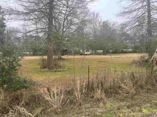 $23,000 | Tbd10 Pats Lane, Springfield, LA 70462
