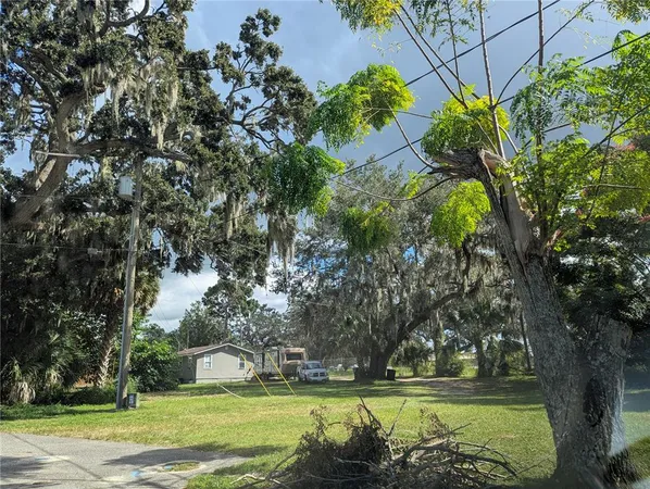 a view of a yard with large trees