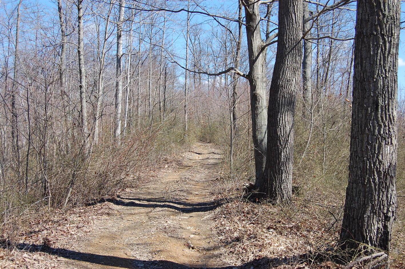 0 Carrs Run Road Waverly, OH 45690 - Photo 1 of 47 Gallery Image 1