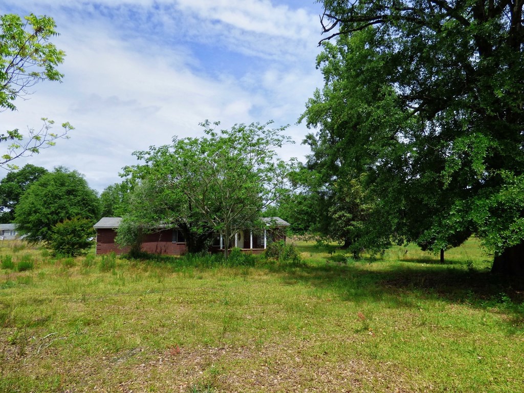 366 Oswichee Road Seale, AL 36875 - Photo 2 of 12 front
