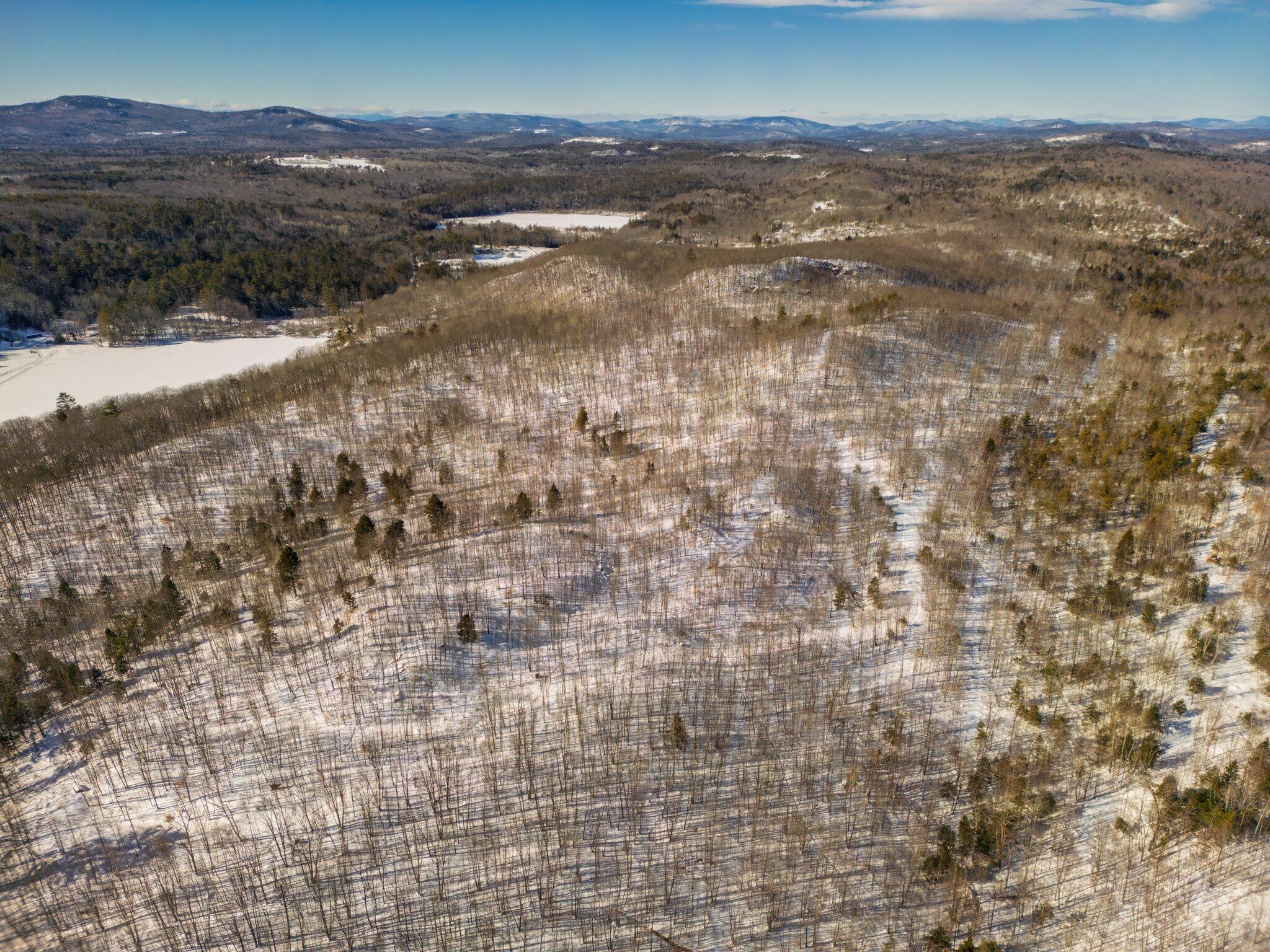 Tbd Skillings Woods Road Turner, ME 04282 - Photo 9 of 9 4-web-or-mls-DJI_0166