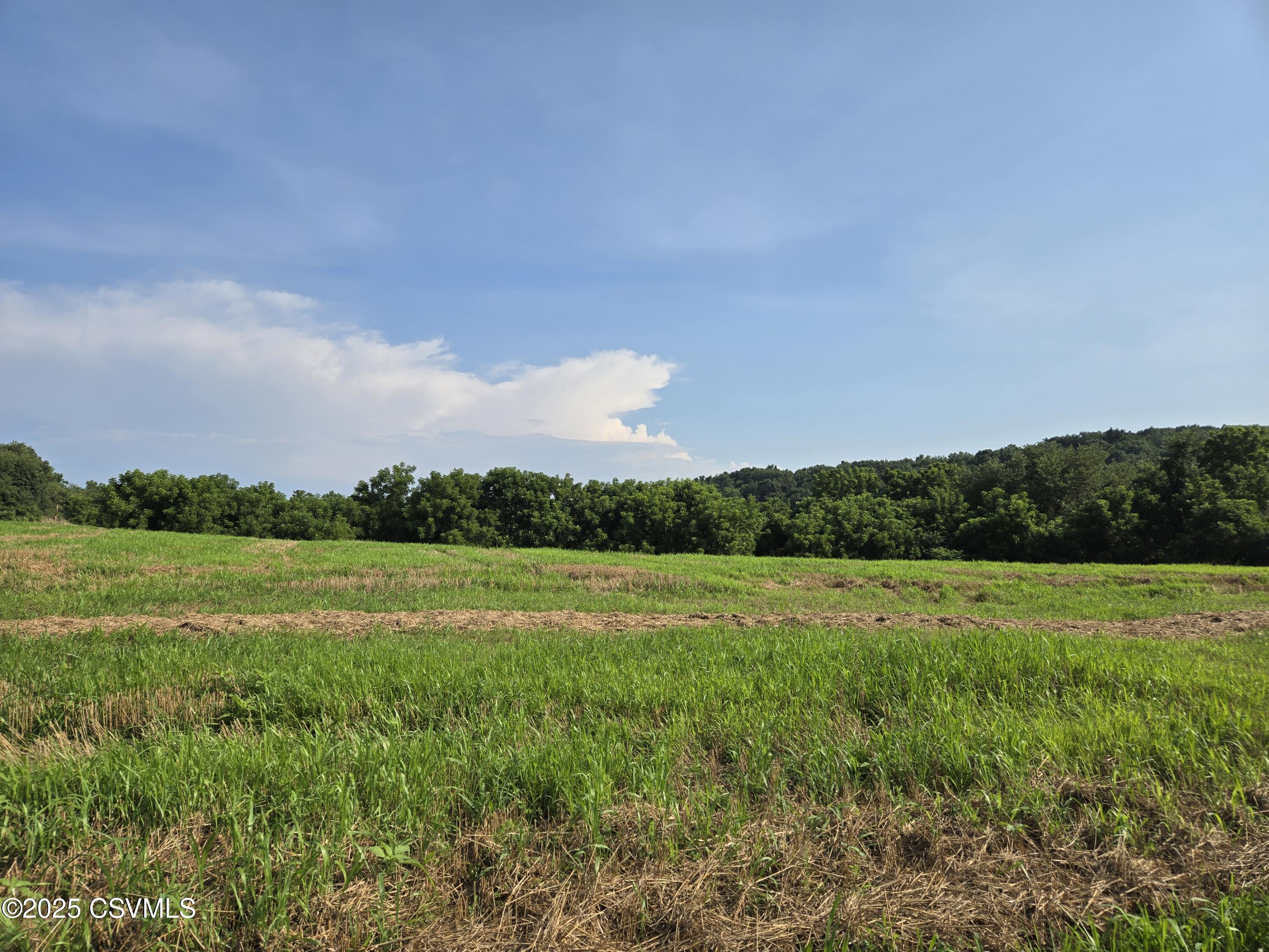 Mowery Road Danville, PA 17821 - Photo 1 of 17 Gallery Image 1