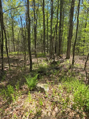 $87,500 | 0 Dill Road, Forestburgh, NY 12777