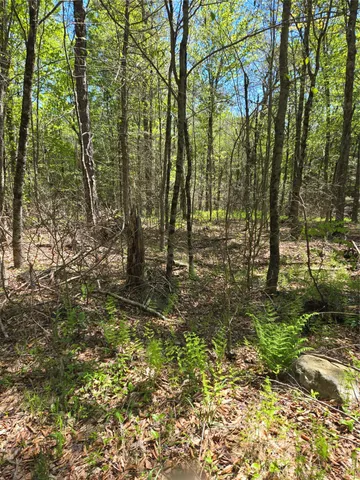 $87,500 | 0 Dill Road, Forestburgh, NY 12777