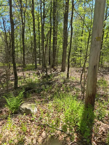 $87,500 | 0 Dill Road, Forestburgh, NY 12777