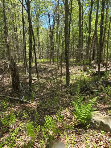 $87,500 | 0 Dill Road, Forestburgh, NY 12777