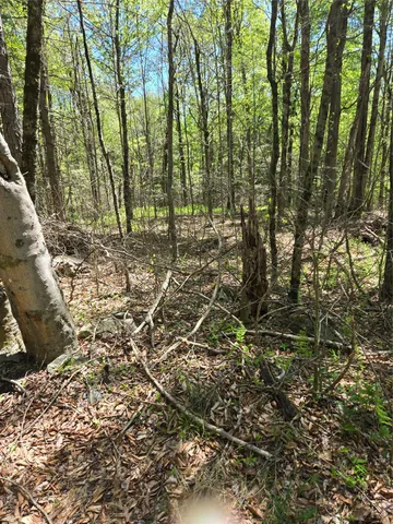 $87,500 | 0 Dill Road, Forestburgh, NY 12777