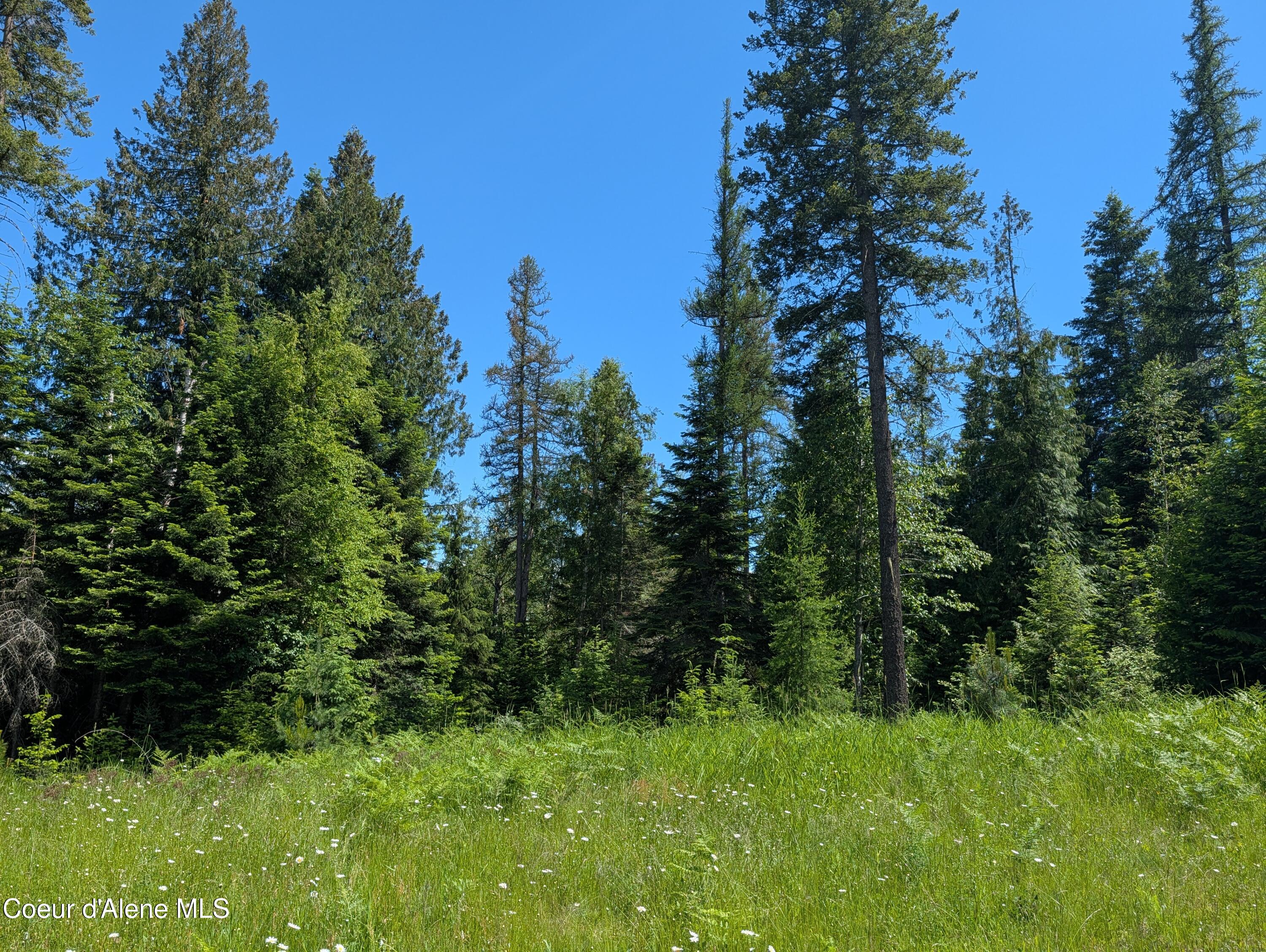 1193 Hidden Valley Road Sandpoint, ID 83864 - Photo 3 of 20 PXL_20260613_214548852