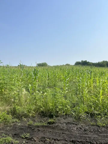 $799,000 | Xxxxx 330th Street, Northfield, MN 55057