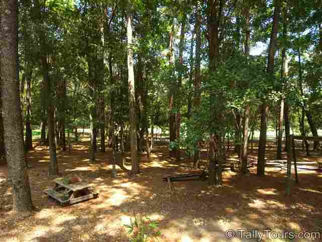 7075 Ox Bow Road, Unit 2 Tallahassee, FL 32312 - Photo 2 of 25 Gallery Image 2